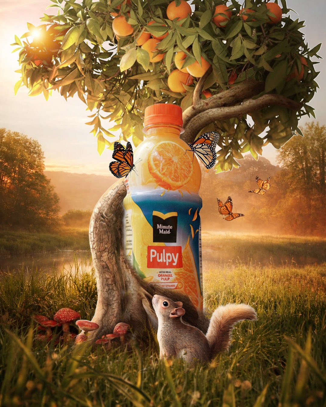 WhatsApp Image 2026-01-28 at 12.33.10 PM (2)